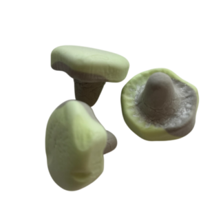 Skumsvampar Päron/Lakr